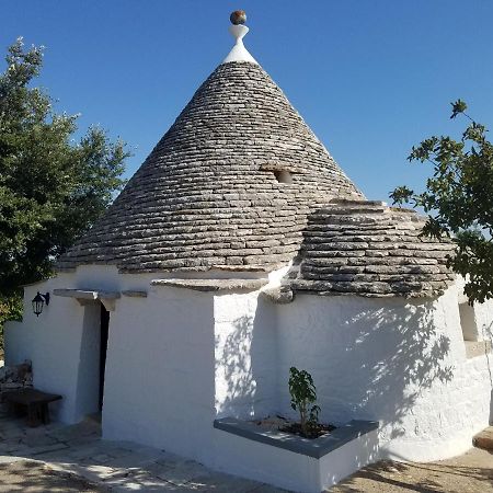 Antico Trullo Immerso Nella Campagna 阿尔贝罗贝洛 外观 照片