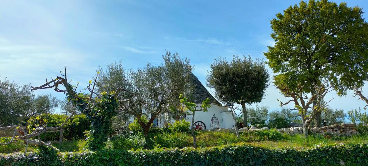 Antico Trullo Immerso Nella Campagna 阿尔贝罗贝洛 外观 照片