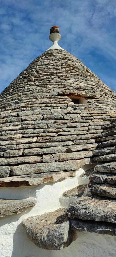 Antico Trullo Immerso Nella Campagna 阿尔贝罗贝洛 外观 照片
