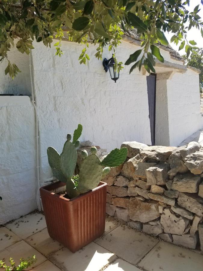 Antico Trullo Immerso Nella Campagna 阿尔贝罗贝洛 外观 照片