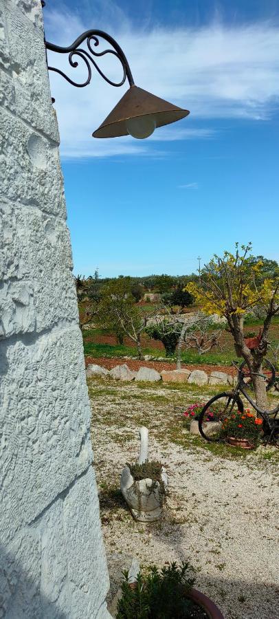 Antico Trullo Immerso Nella Campagna 阿尔贝罗贝洛 外观 照片